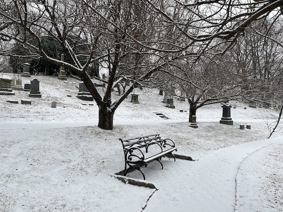 bench alongside path in snow-covered cemetery
